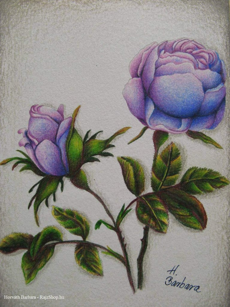 Pepin színezés Polychromos színesceruzával