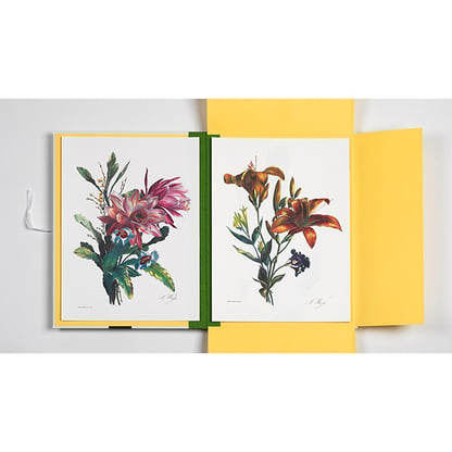 Pepin portfolio - Flowers