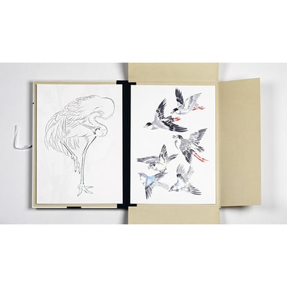 Pepin portfolio - Japanese birds