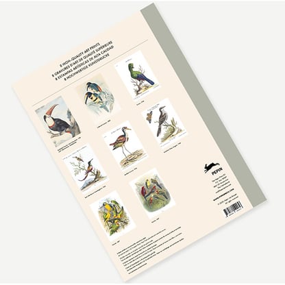 Pepin portfolio - Tropical birds