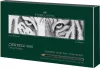 Faber-Castell CASTELL 9000 grafitceruza készlet, 8+2 db - Limitált kiadás