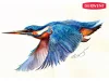 Derwent Inktense akvarell ceruzakészlet 72 db
