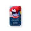 Derwent Chromaflow színes ceruza - 24 darabos készlet
