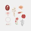 BGM matrica, 30 db - Flowers in Bloom
