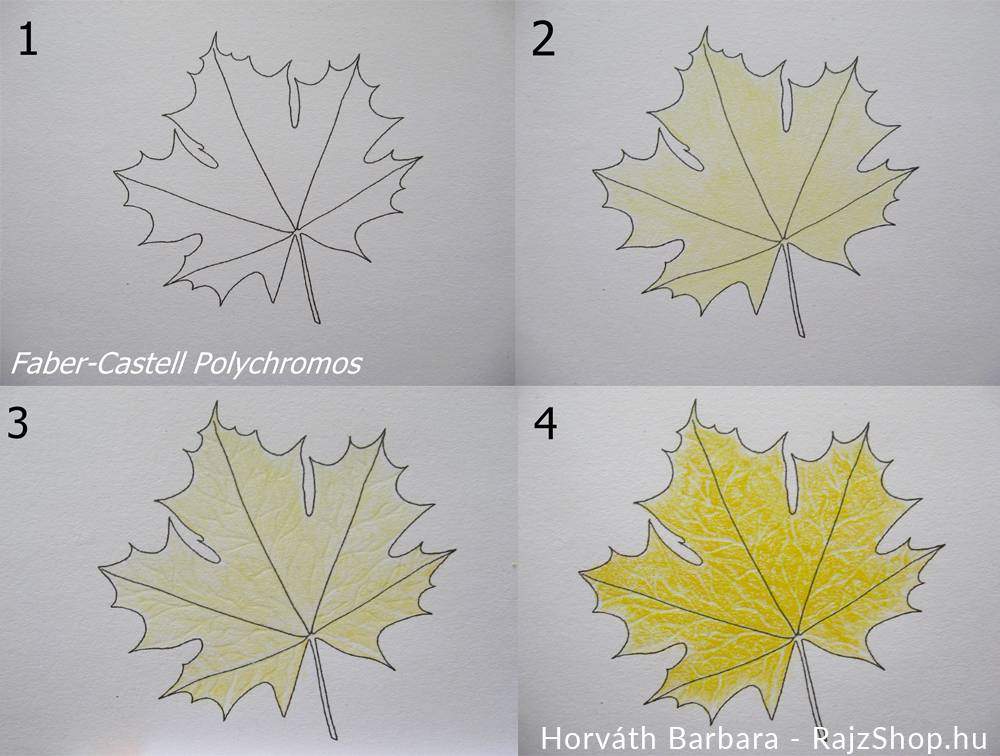 Őszi levél színezése Faber-Castell Polychromos