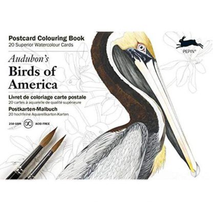 amerika madarai felnőtt színező könyv
