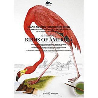 Audubons amerika madarai A3-as felnőtt színező könyv