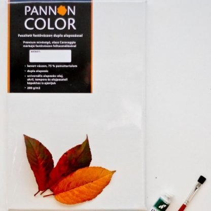 Pannoncolor festővászon, több méretben