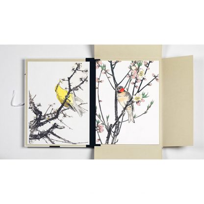 Pepin portfolio - Japanese birds